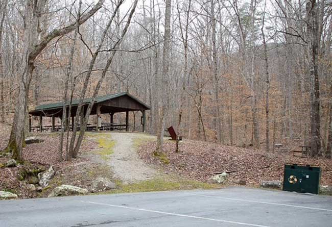 Front angle of the Lewis Hollow Picnic Shelter showing grills, and trash receptacles.