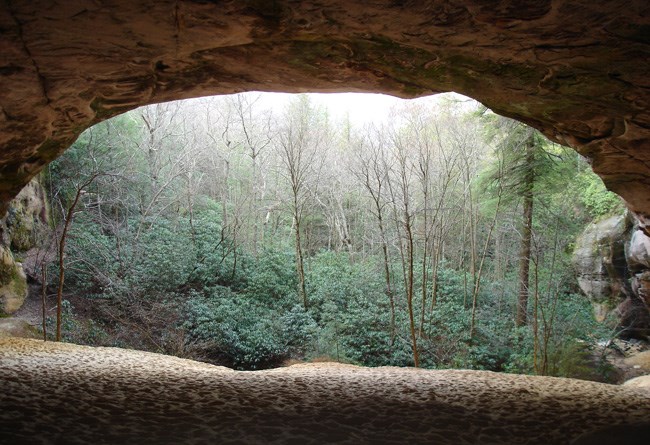 Inside of cave showing sand and looking out.