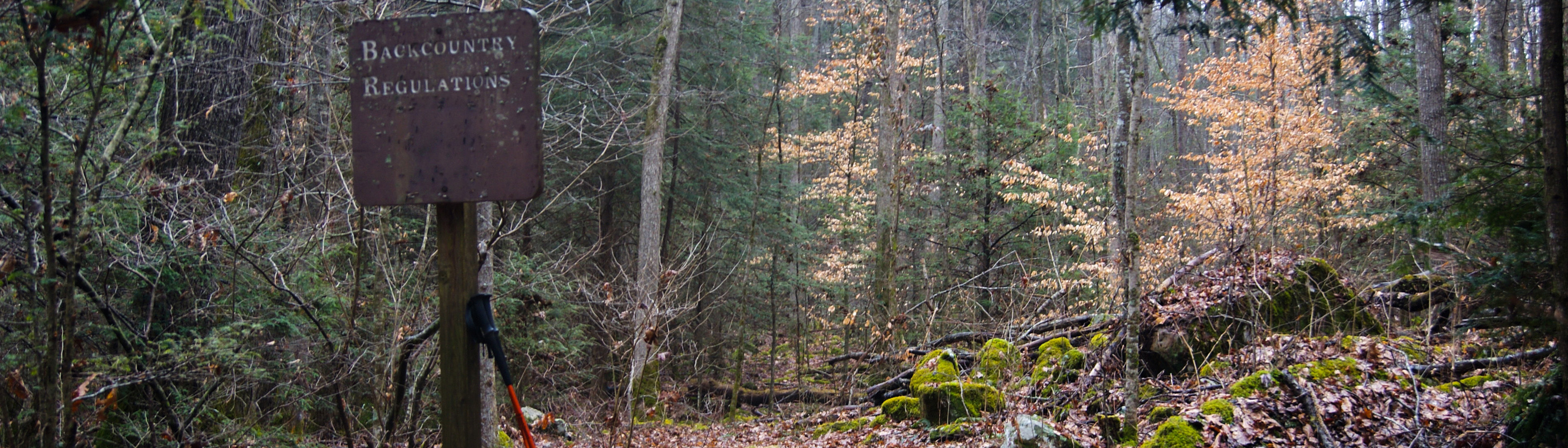 Backcountry sign in the forest