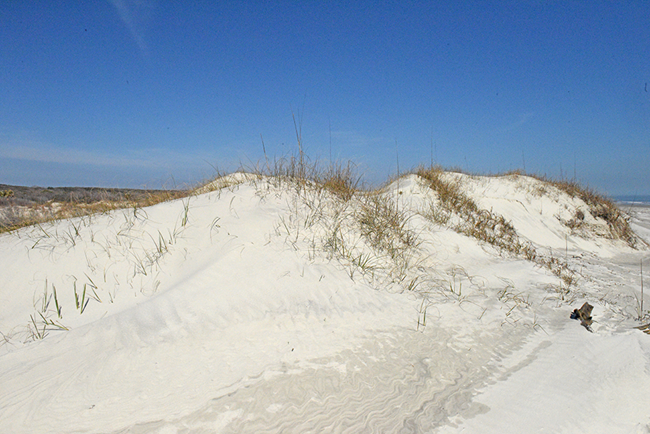 Mature sand dunes covered with sea oats