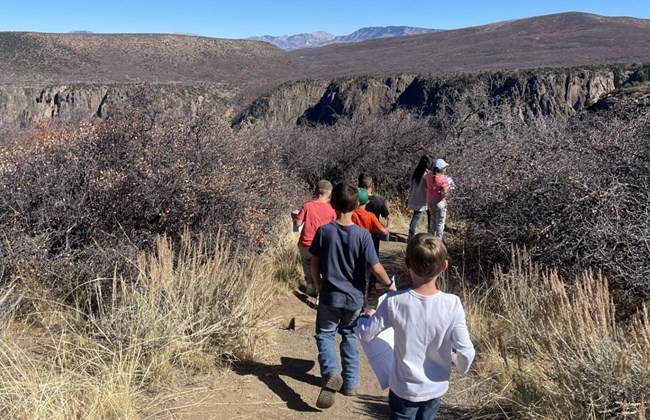 Students walk through a shrubby trail by a canyon edge. Mountains and mesas are in the distance.