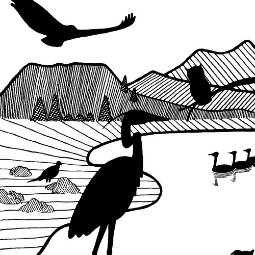 Black and white image of outlined birds, landcape, and water.