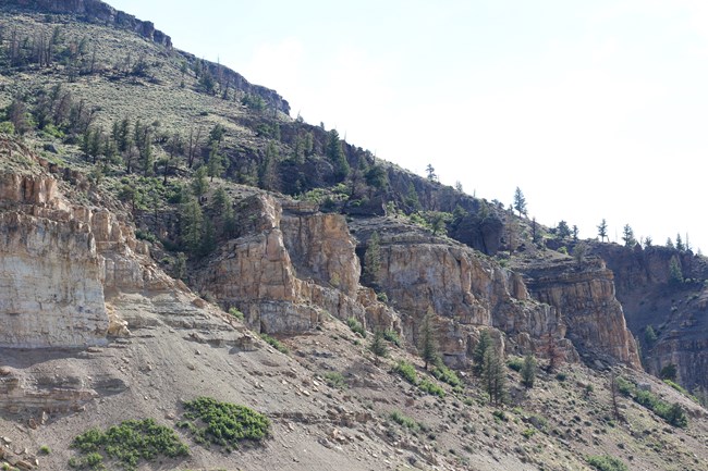 Grey brown pinnacles sticking out from a hillside. Small trees and vegetation surround the formations