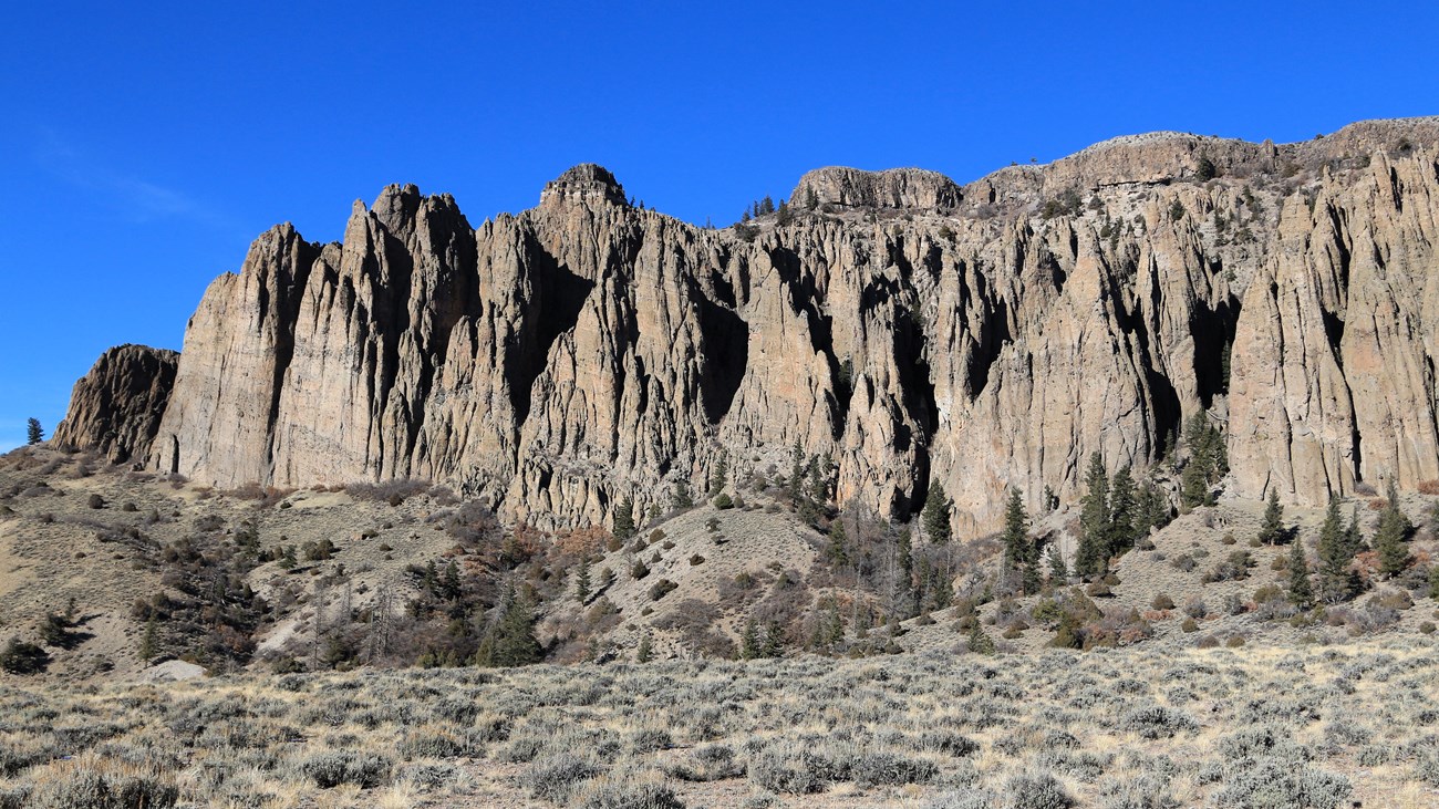 Tall brown and grey rock spires stick out of the side of a mesa. A capstone lines the top of the mesa. Sagebrush, small shrubs, and some conifer trees are in the foreground.