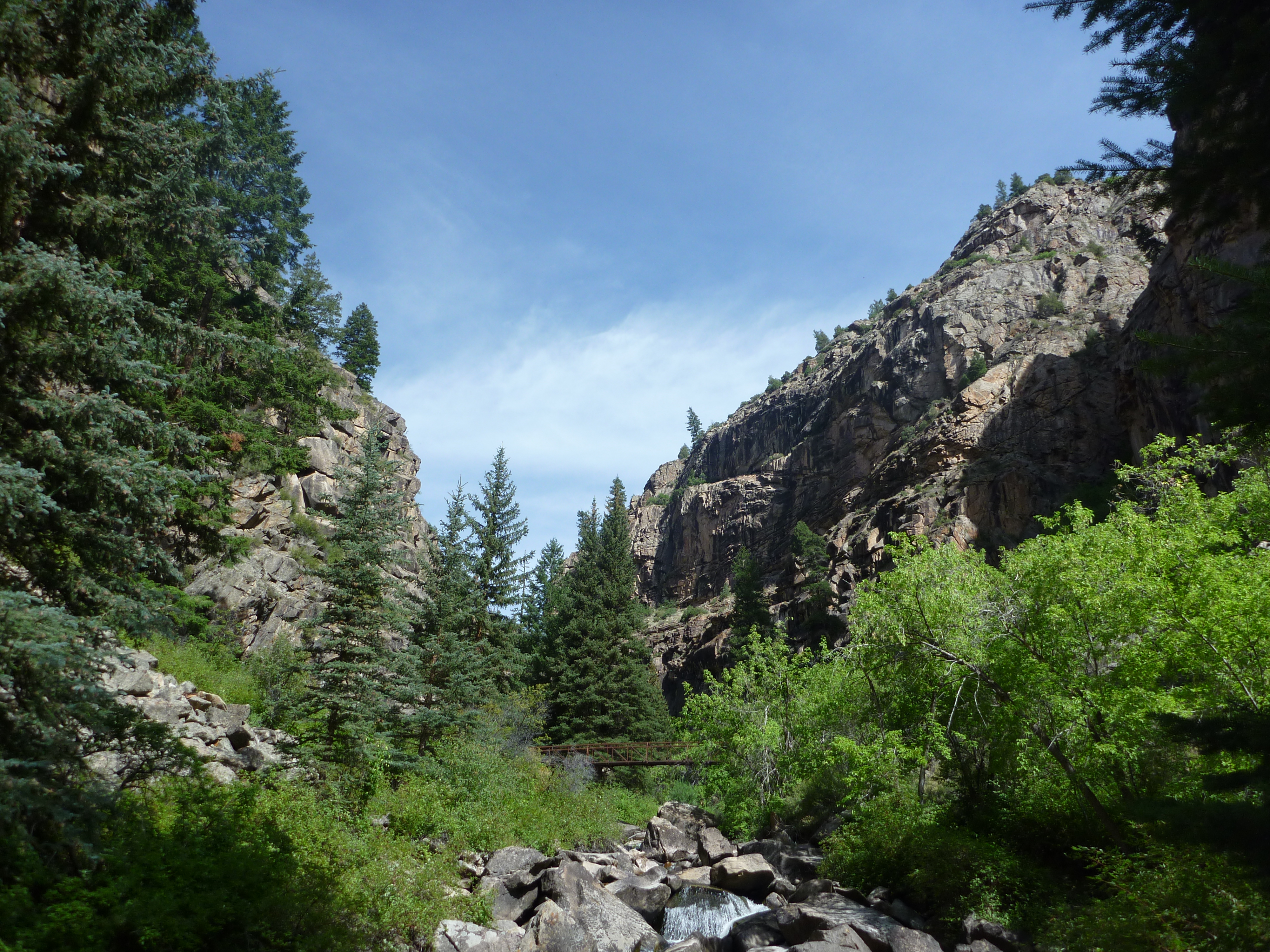 View within a deep steep canyon with conifer and deciduous tree species growing on either side. A small wooden bridge is visible above a creek with large boulders.