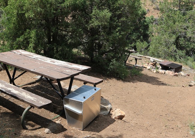 Two picnic tables, a metal bear box, and a fire ring at a packed dirt campsite. Trees surround the campsite