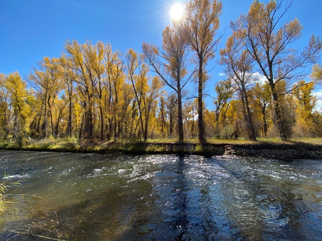 The Gunnison River along Neversink Trail in Curecanti.