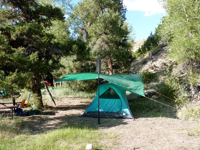 A green tent and tarp are pitched with a kayak paddle as an aid. Tall conifer trees surround the campsite.