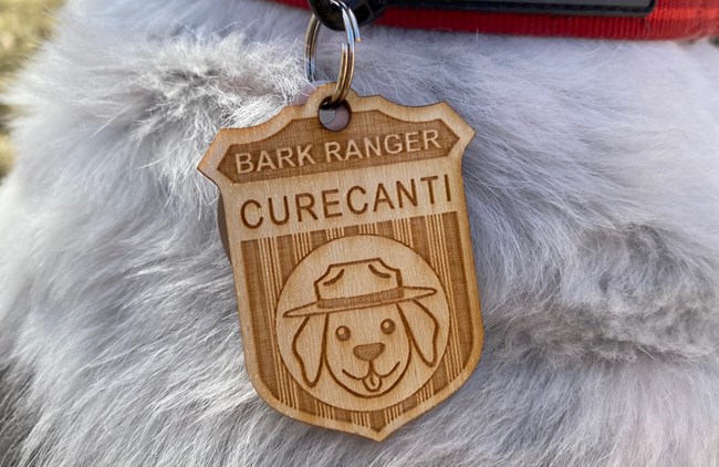 Curecanti Bark Ranger Badge