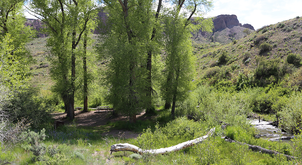 Red Creek Campground Group Site