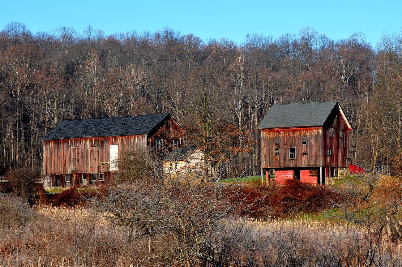 Two brown wooden buildings, a barn and a smaller outbuilding, with a wooded hillside behind them.