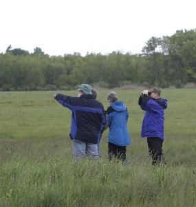 Three people stand in a field wearing rain jackets; one points off to the left and another looks through upheld binoculars.