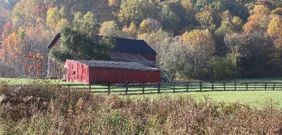 Conrad Botzum farmstead, viewed from the opposite side of a green field with a forest behind the red barn, dappled with fall foliage.