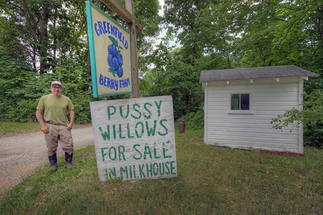 A man stands outside next to signs and a small white shed; the upper sign painted in blue reads, "Greenfield Berry Farm" with blueberries in the middle; the lower sign is green on white and reads "Pussy Willows For Sale In Milkhouse".