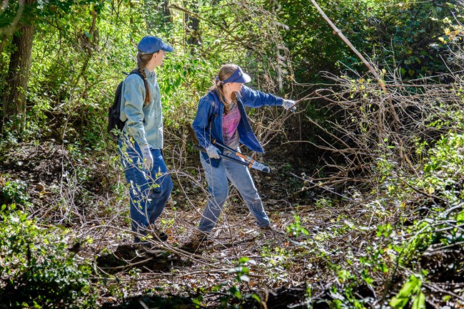 Two young white women in denim clothes, work gloves, and ballcaps stand in a woody green tangle of shrubs and vines. The first reaches out to grab a branch in one hand and holds loppers in the other.