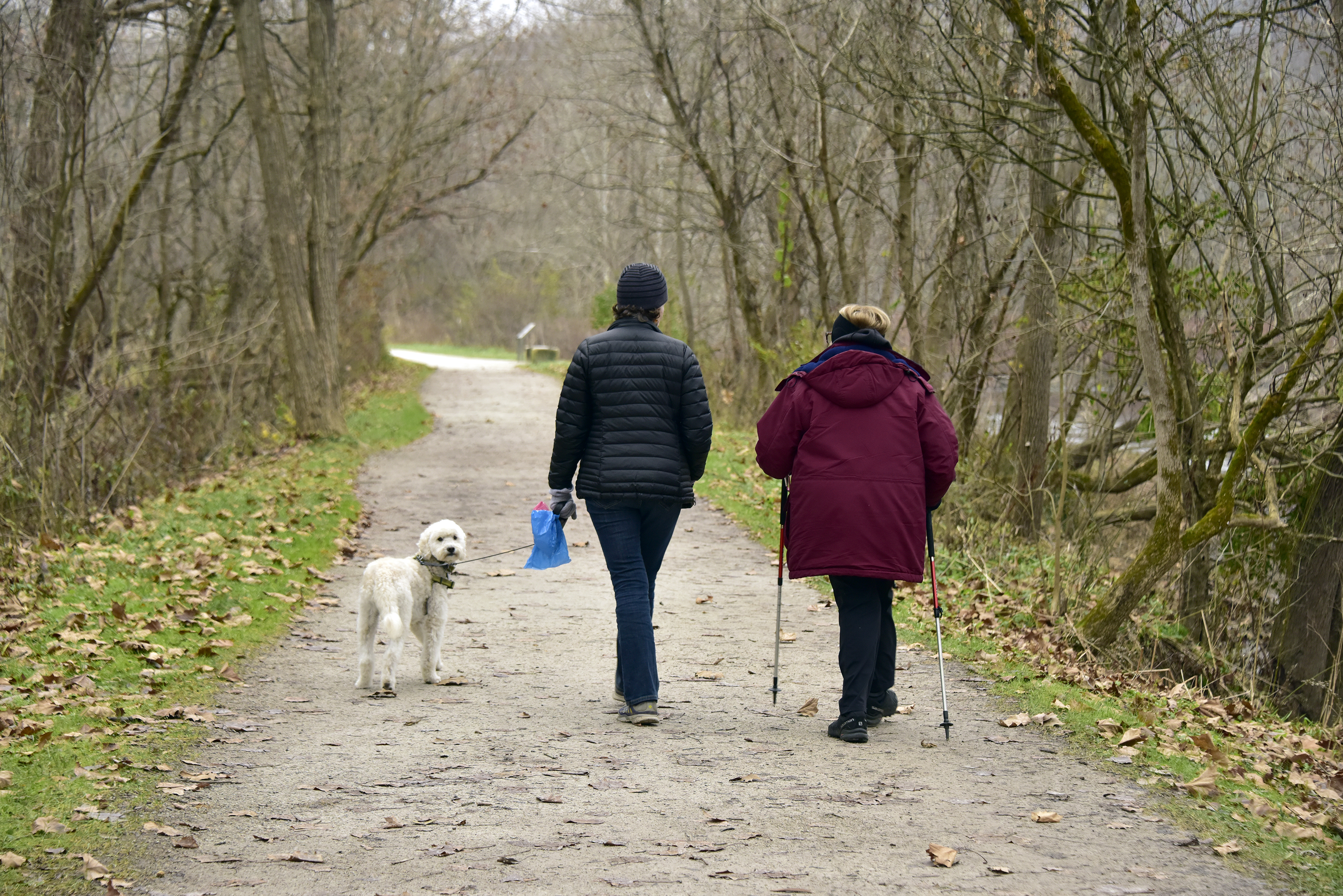 Two people in winter coats walk down a wide, gray trail through trees. The person on the left holds the leash of a white dog, who turns back toward the camera.