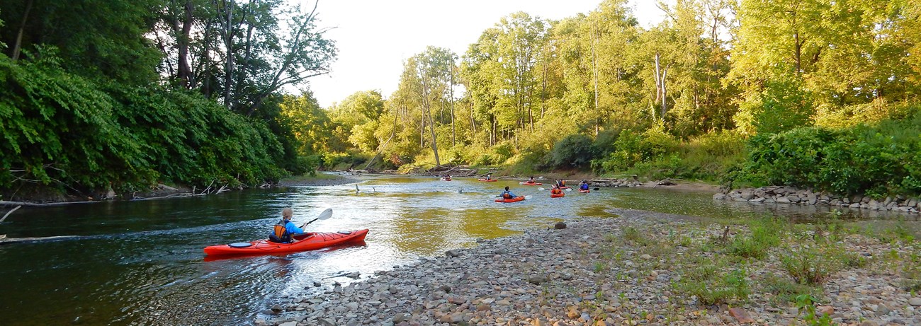 People paddle a group of orange kayaks around a pebbly bend in the river; the rest of the shore is lined in green shrubs and trees.