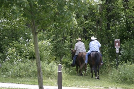 Two people riding away on horses down a wooded bridle trail in summer.