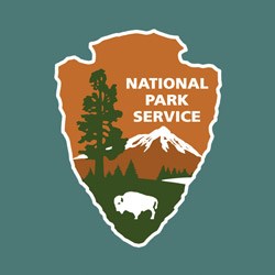 The NPS arrowhead logo showing a bison, mountains, lakes and trees on a teal square.