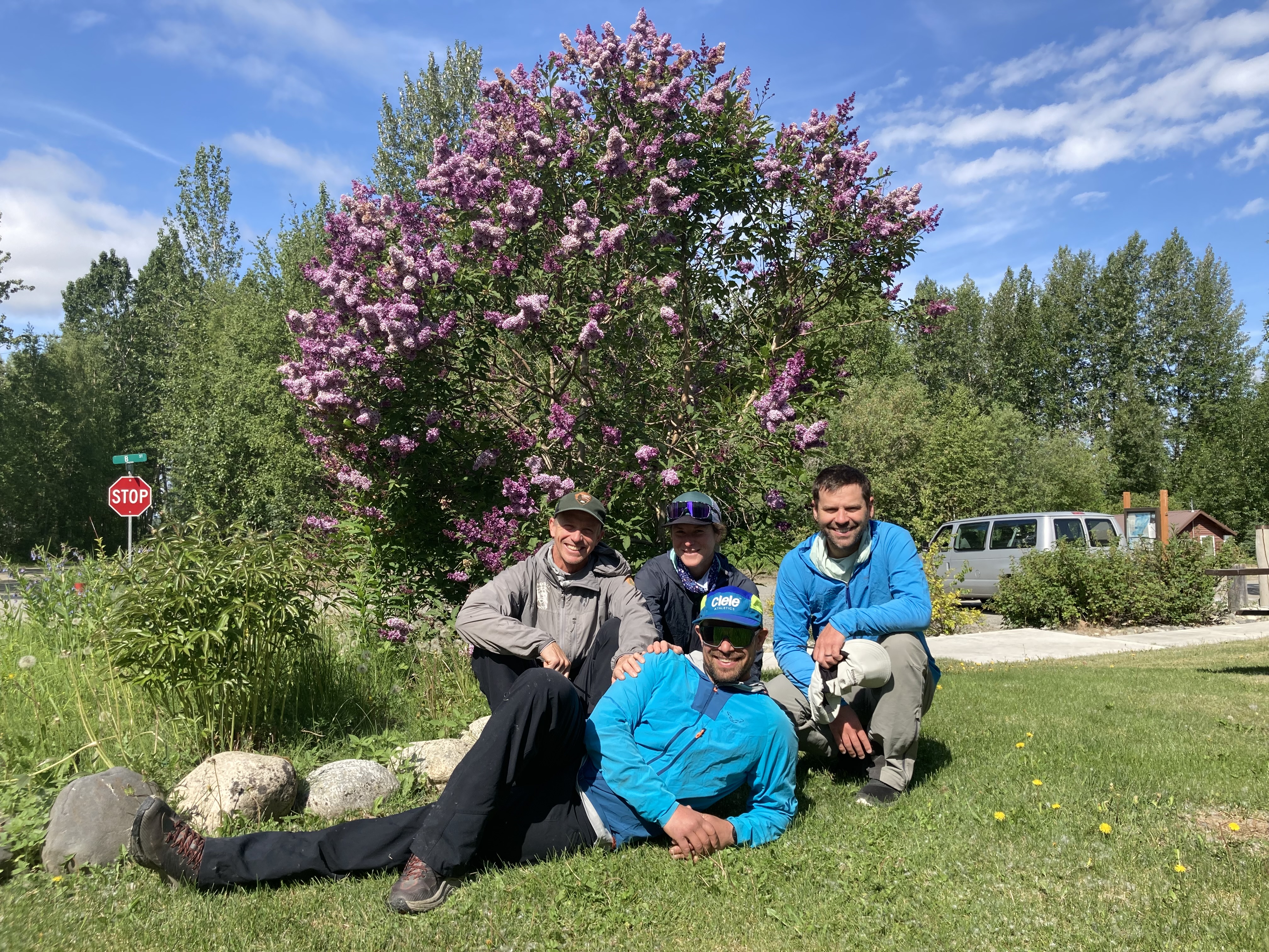 Four climbers sit on a lawn in front of a flowering lilac tree