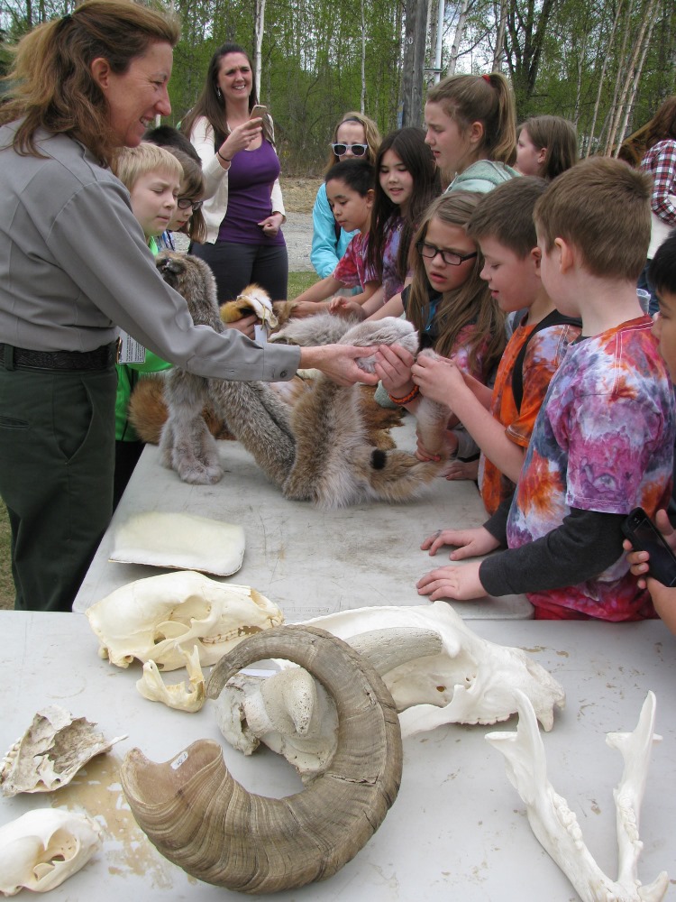 Ranger and children look at animal furs and skulls