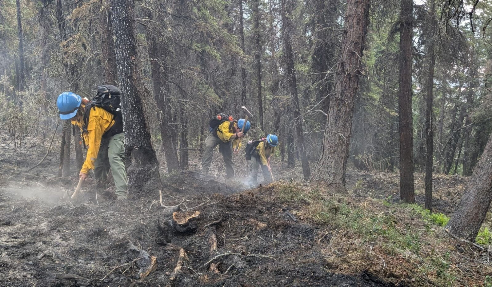 Three members of the wildland fire crew use tools on a steaming, burned section of ground