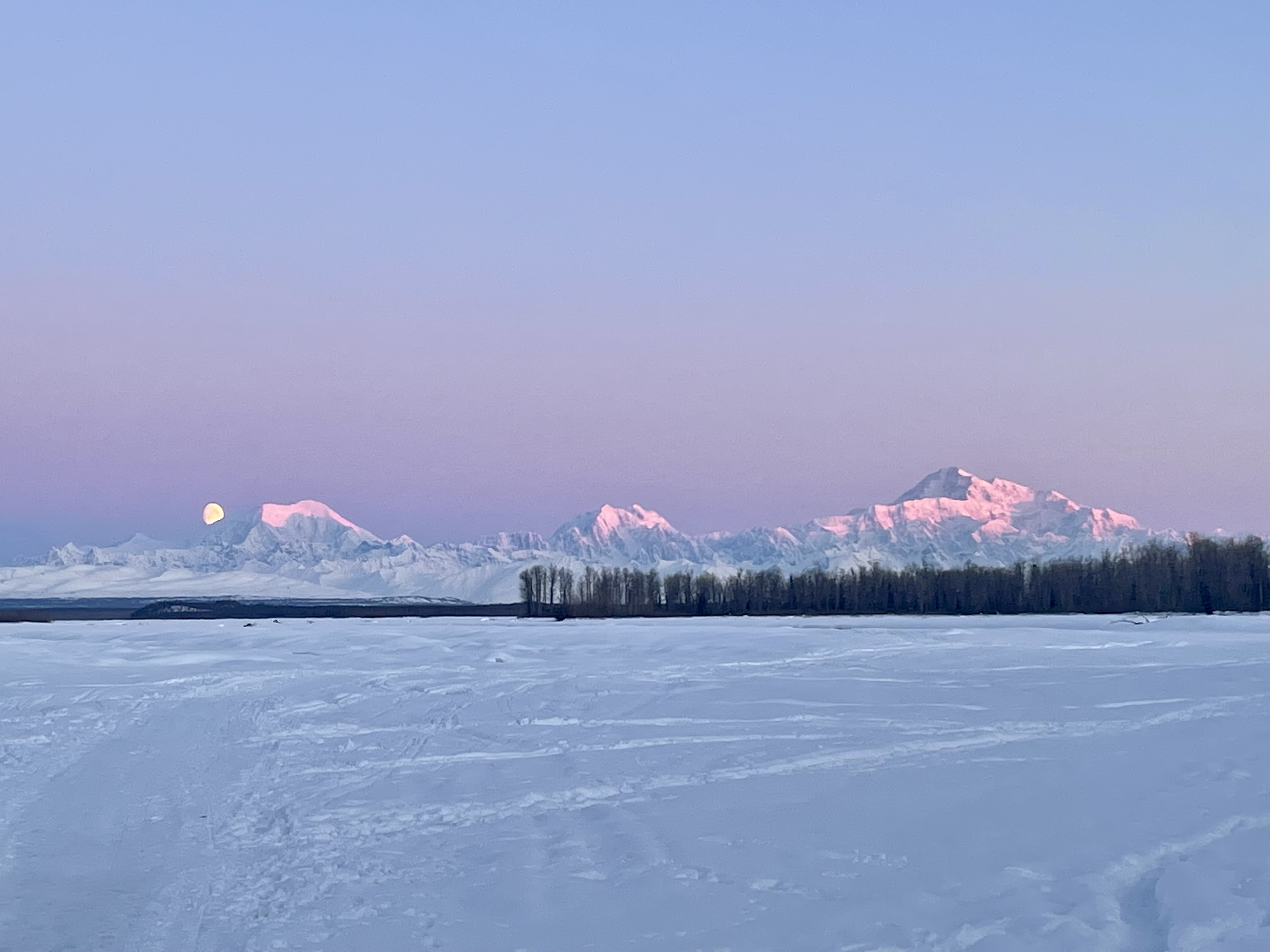 View of the Alaska Range in the spring