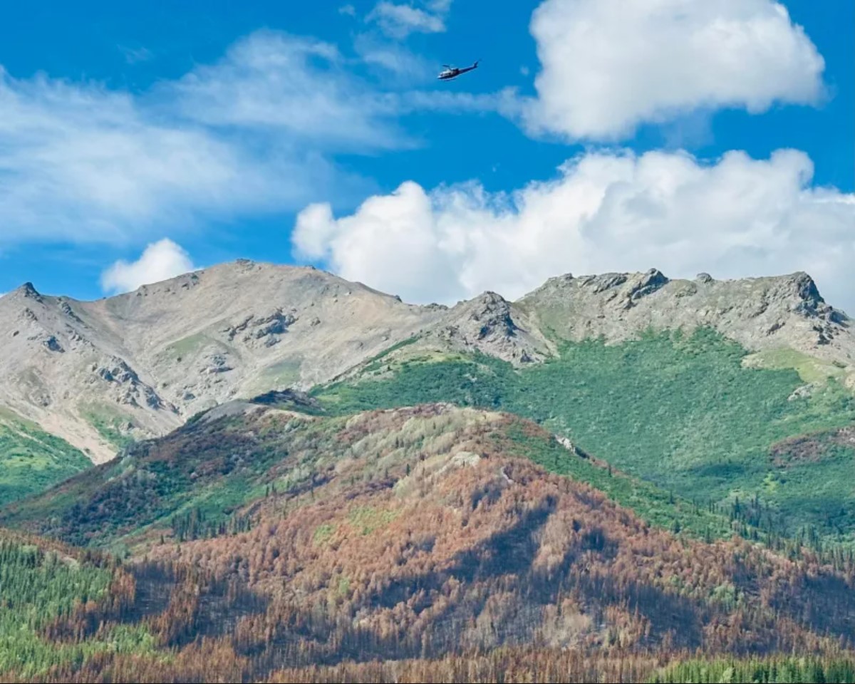 A helicopter flies over a mountainous landscape with sections of green and brown forest.