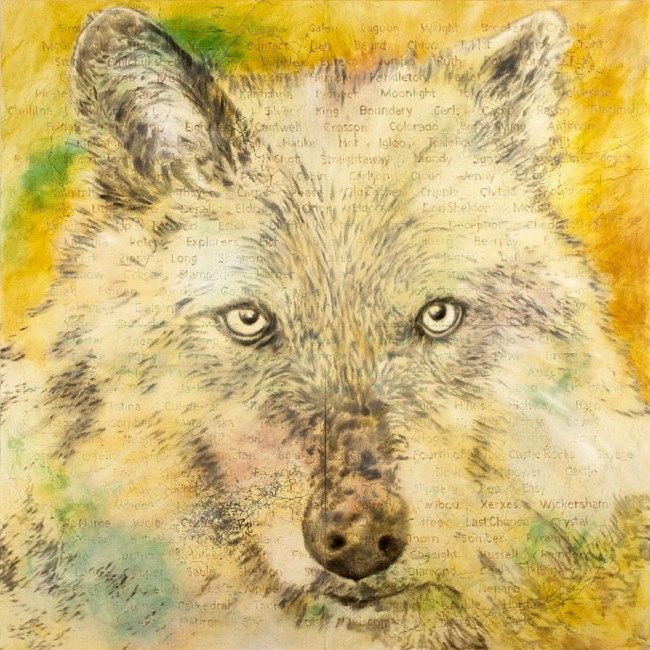 artwork depicting a wolf's face