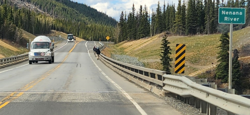A two-lane highway bridge, with a road sign indicating the bridge is crossing the Nenana River. A large vehicle and a bus cross the bridge while a few pedestrians walk single file along the narrow shoulder.