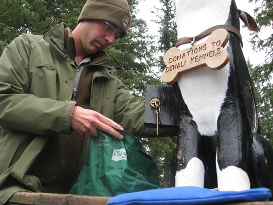 ranger pulling cash out of a wooden dog that bears a sign reading "donations to the denali sled dog kennels"