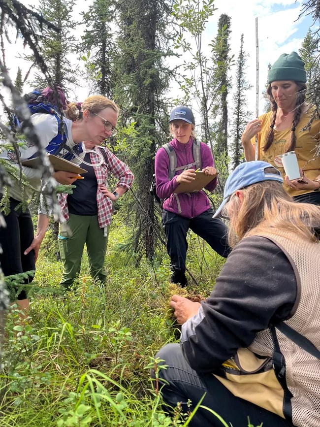 A group of women stand in a semi-circle facing a woman who is sitting in knee-high grass holding an object. Two of the women are holding clipboards