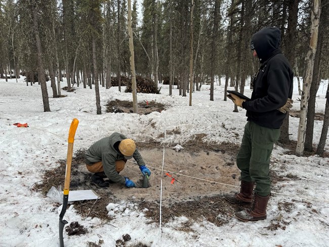 2 fire ecologists collecting a soil core sample to study the effects of a recent prescribed burn