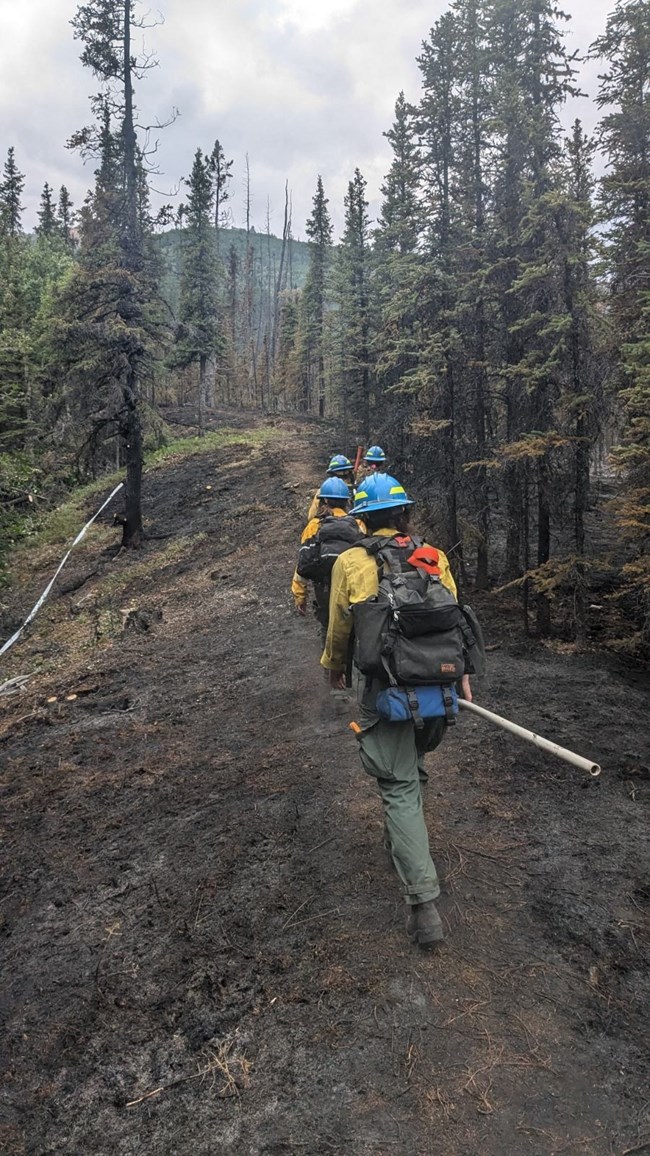 Several wildlands firefighters walk along a ridge burned at a mixed severity.