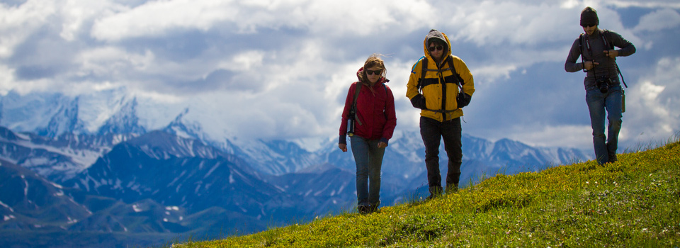 three hikers walk up a grassy mountain