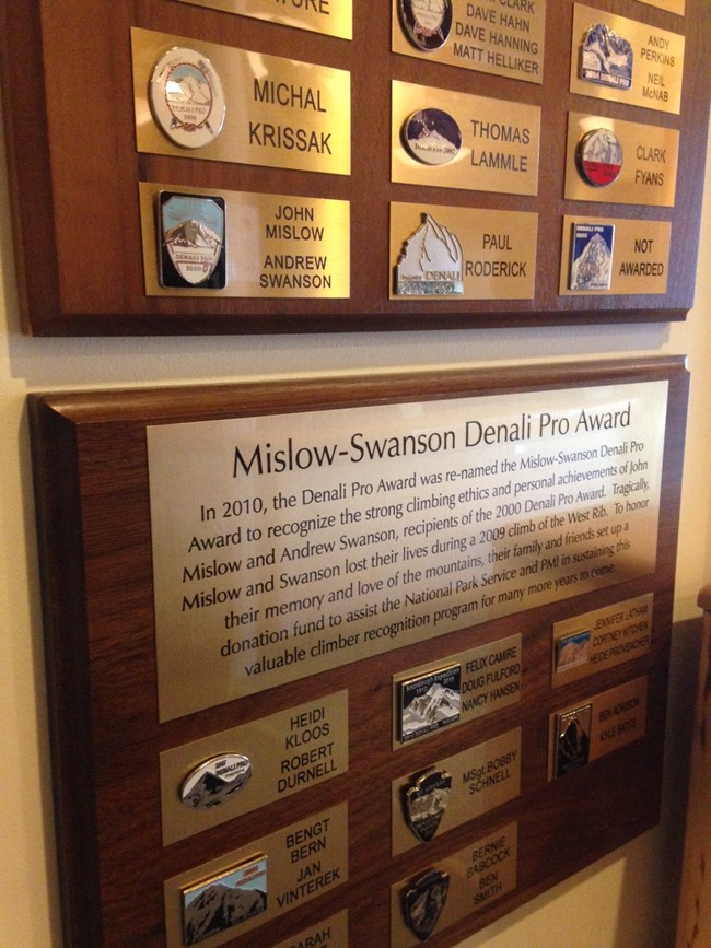 Denali Pro Award plaque