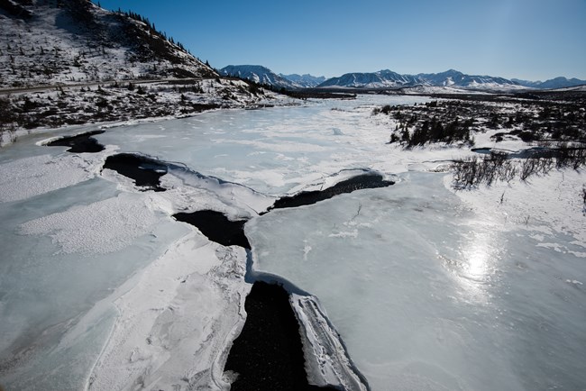 A wide river covered in thick ice, with brush and trees lining the banks of the river. One channel of water is visible through cracks in the ice and sun reflects off the shiny, bare ice.