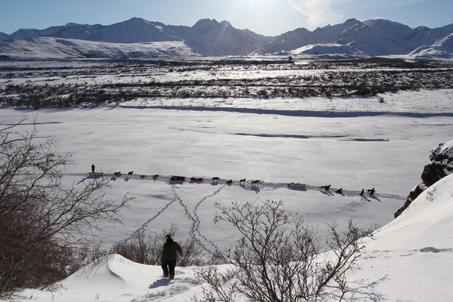 Three dog teams are lined out on a trail far below the photo vantage point with a mountain range behind