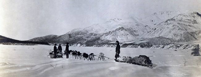 Black and white photo of dog teams hauling heavy basket sled loads
