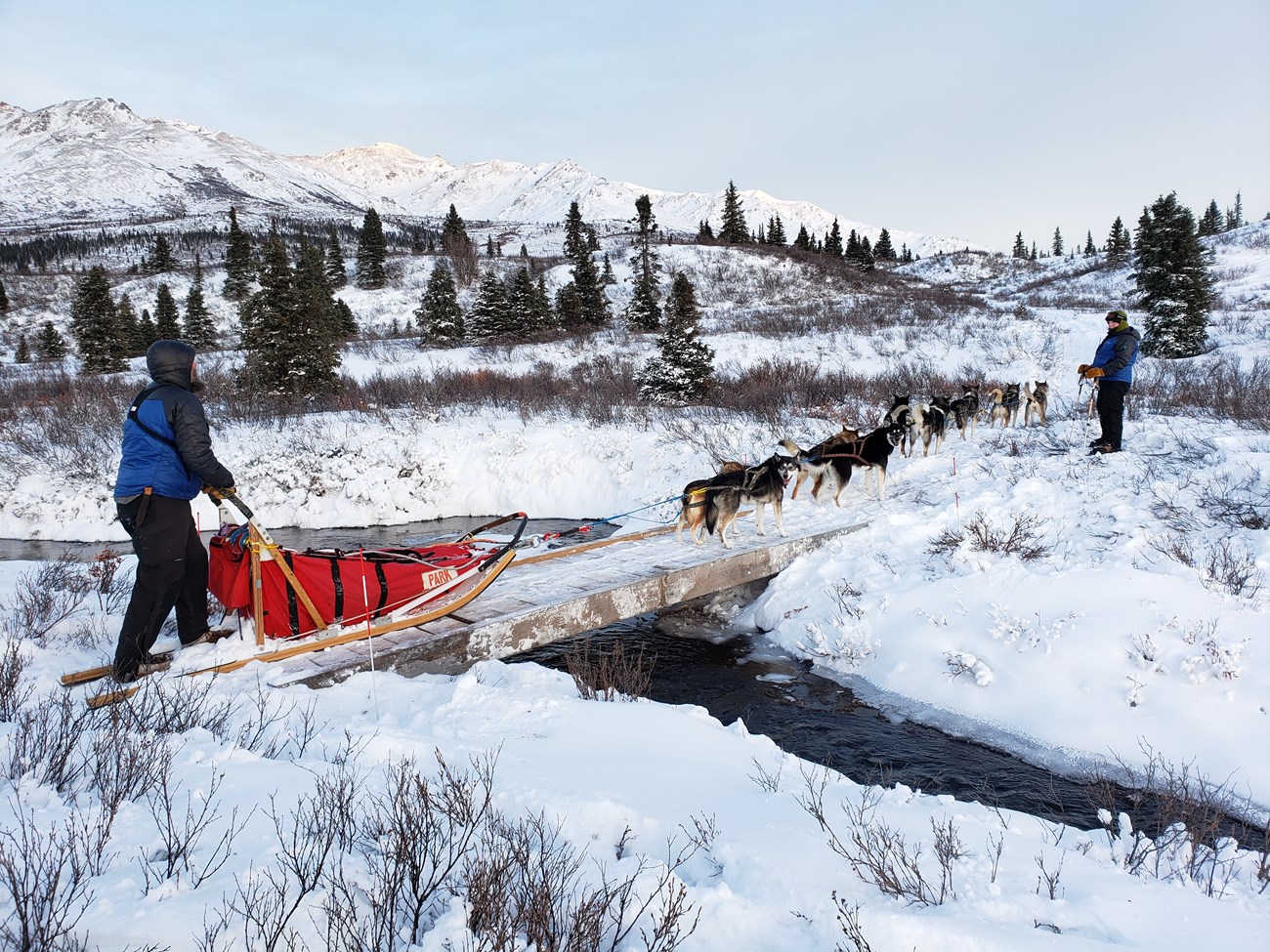 A team of sled dogs goes across a bridge over a small creek