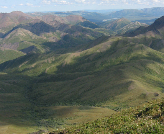 rolling green mountains with thick brush in low-lying areas