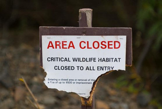 a half-eaten wood sign with the words "Area Closed: Critical Wildlife Habitat Closed to All Entry"