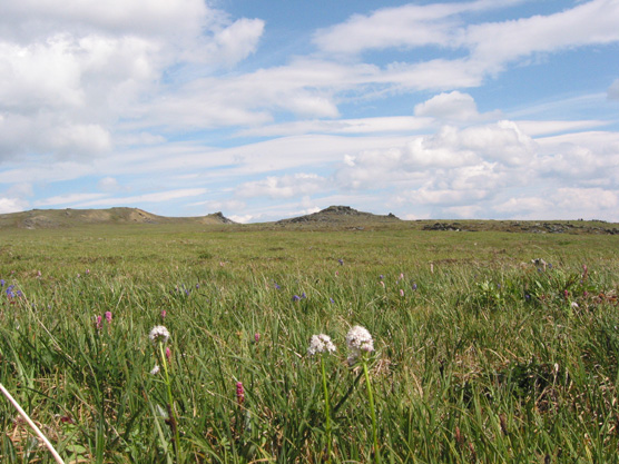 Unit 27: Mount Wright - Denali National Park & Preserve (U.S. National ...