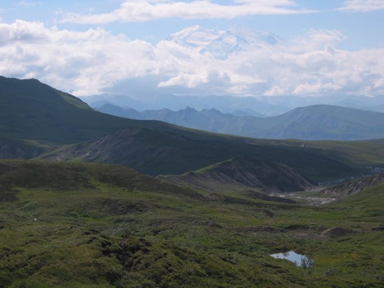 rolling green hills leading off toward a vast, snow-covered mountain partly hidden by clouds