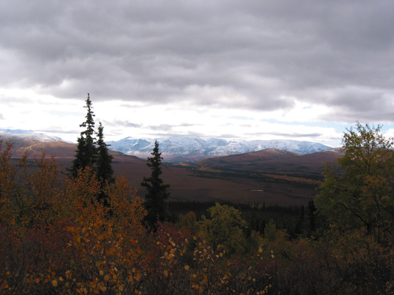 brush and trees in front of a vast plain, leading up to snowy mountains