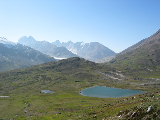 A high-alpine meadow rugged mountains in the distance