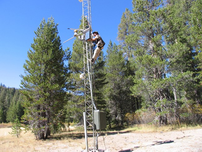 Scientist climbs tower of weather station in meadow to check equipment.