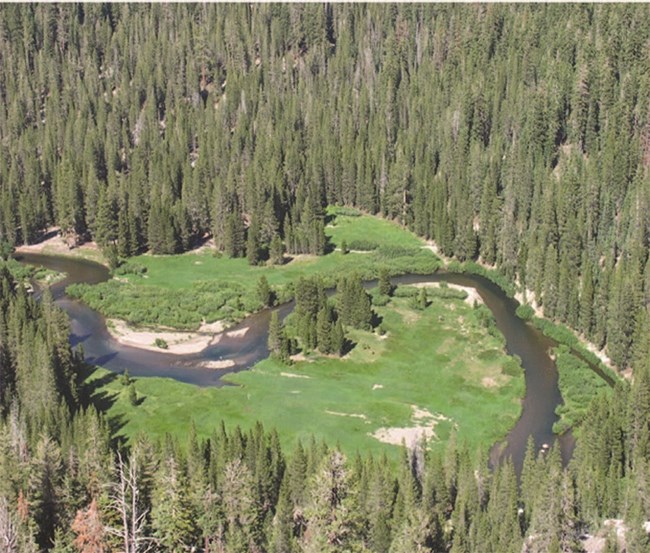 View from a high granite dome of a winding river, with surrounding meadow and forest.
