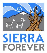 Sierra Forever logo and graphic showing a Bristlecone pine tree, mountain, sky, and two animals