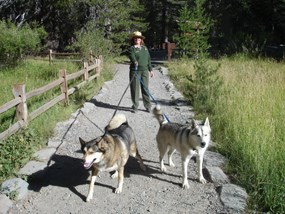 Superintendent Deanna Dulen walking her two huskies Tasha and Misha while respecting the leash regulation.